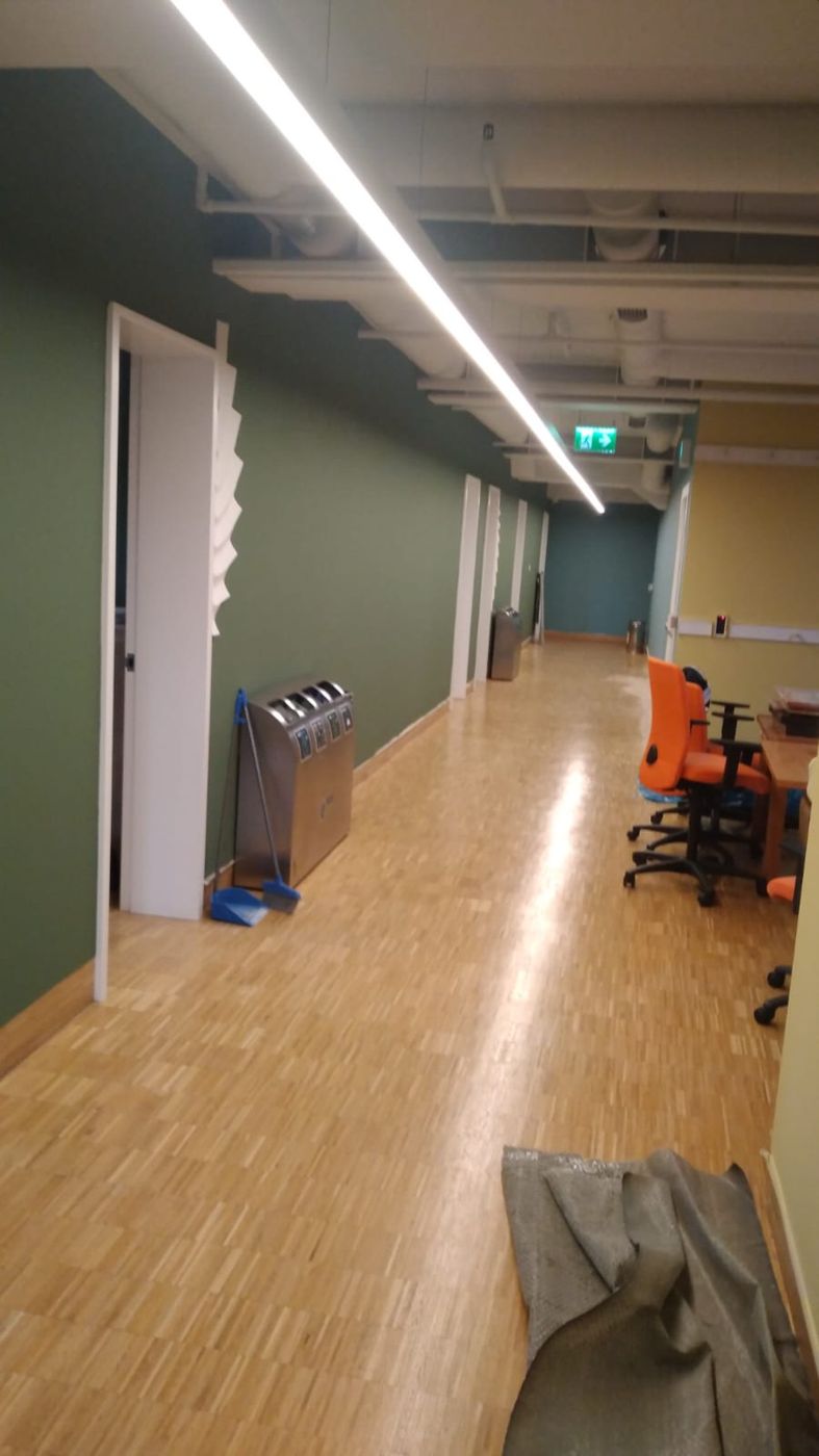 Yeşile boyanmış ofis koridoru ve kapı yanlarında dekoratif paneller